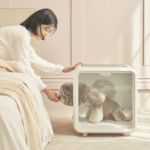 반려동물과의 편안한 샤워를 위한 최적의 선택