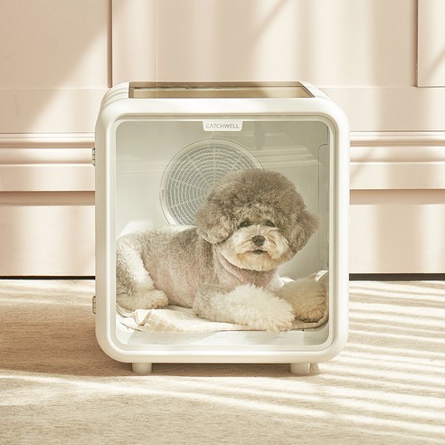 반려동물과의 편안한 샤워를 위한 최적의 선택