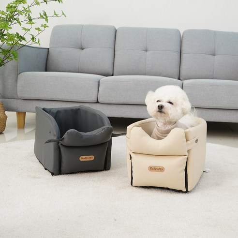 안전하고 편안한 반려동물 여행의 동반자