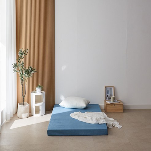 家用床墊 日用品 臥室用品 寢具 睡眠用品 室內用品 床墊 聚氨酯床墊 上層床墊 地墊
