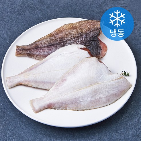 겨울 밥상의 숨은 보석, 다바다 냉동 가자미로 풍성한 식탁을! 다바다