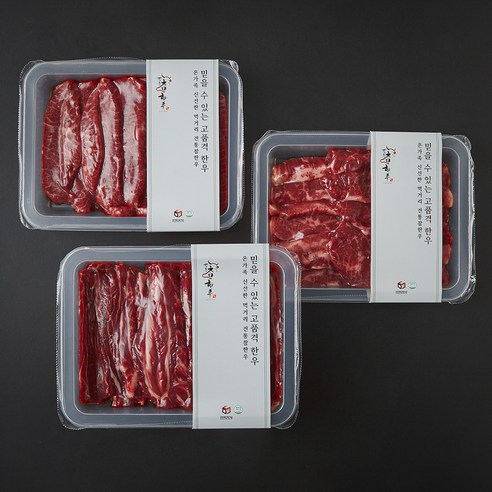 전통참한우 모듬구이한판 갈비살 300g + 부채 300g + 업진살 300g 1등급 세트, 1세트