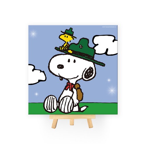 아이러브페인팅 피너츠 DIY CUBIC PAINTING 2020cm, 캠프 스누피, 1개