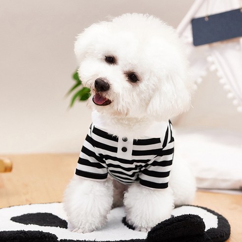 강아지 고양이 줄무늬 티셔츠, 화이트 + 블랙