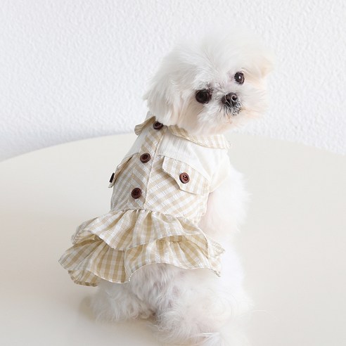 伴侶  寵物用品  小狗  貓  聯合使用  服裝  狗  狗  狗  狗