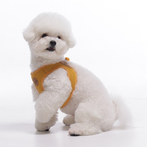 펫줄앤코 반려동물 이지 클립 하네스 X형 가슴줄, 1개, 옐로우