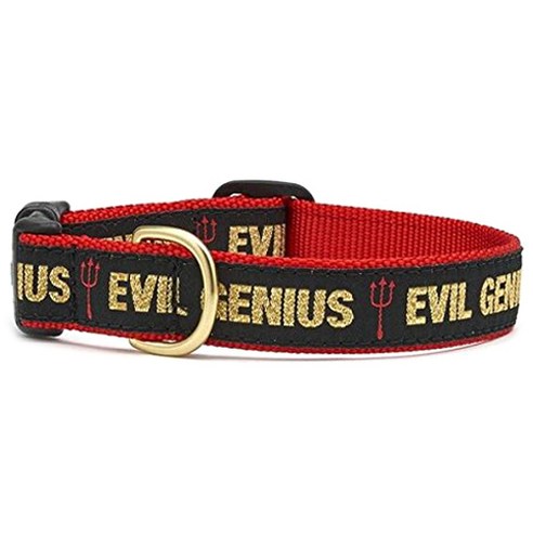 업컨츄리 강아지 목줄, Evil Genius