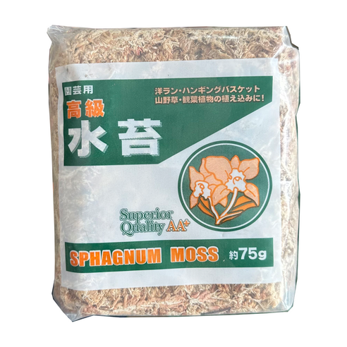 깔끔한 수태 칠레산 정겨운 화분 – 75g, 150g, 500g, 1kg 중 선택 가능, 1개