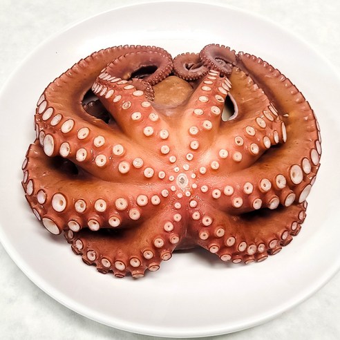 국내산 제수용 돌문어, 1개, 2kg