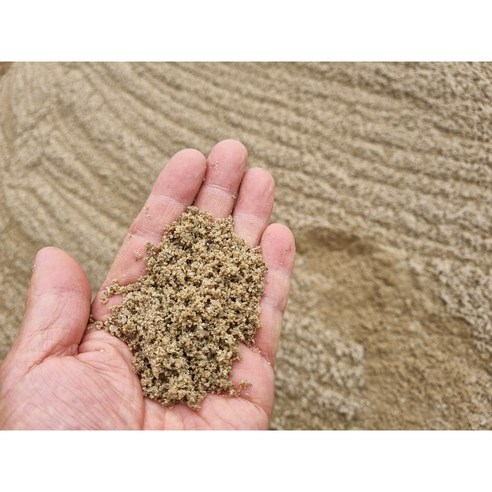국내 자연산 강모래20kg(10mm이하) 자연 모래 다육이 제라늄 분갈이 모래주머니, 1개, 20kg