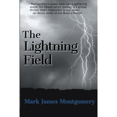 The Lightning Field Paperback, Stonehouse, English, 9781393708414