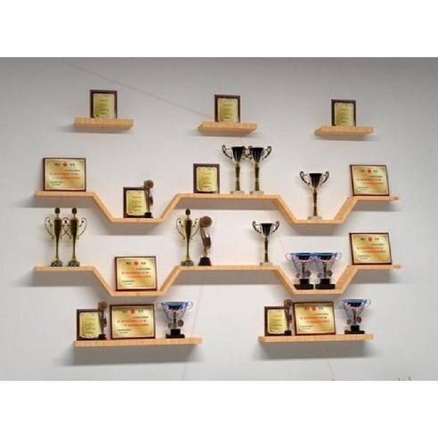 상패진열장 제작 진열대 메달 상패 제작 트로피 전시, C. 50x10x6cm
