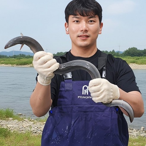 산지직송 고창 자포니카 풍천 장어, 1세트, 600g