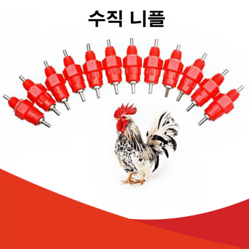 주성테크 조류 급수니플 수직 장착형 조류자동 물공급기 니플급수기 - 급수기/급식기 | 쿠팡