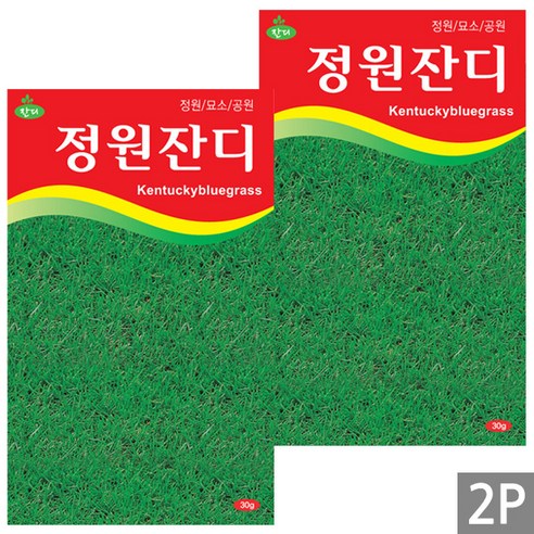 삭막한 베란다, 숨 쉬는 정원으로! 세인화분 정원잔디 소포장 솔직 후기 잔디씨