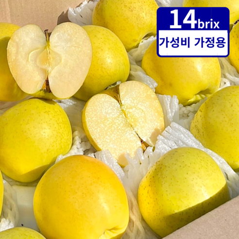 황금빛 유혹, 안동 시나노 골드 사과로 일상에 작은 행복을 더하세요.