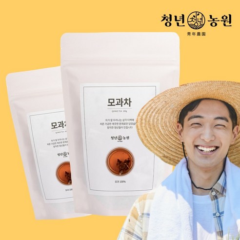 청년농원 저온가공 모과차 삼각티백, 50개입, 2개, 2g