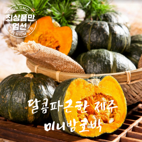유기농 제주 미니 단호박 3kg 5kg, 정품 미니밤호박 5kg(12개~18개), 1개 판매 제주밤호박
