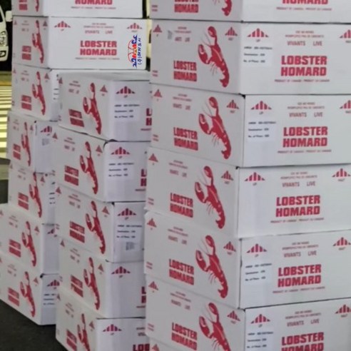 깊은 바다의 풍미를 식탁으로, 캐나다산 냉동 활랍스타와 함께 특별한 미식 경험을!