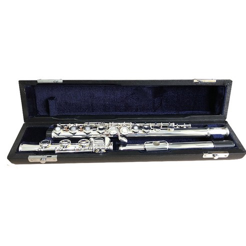 당신의 플루트를 위한 완벽한 갑옷, 알티에리 하드 케이스