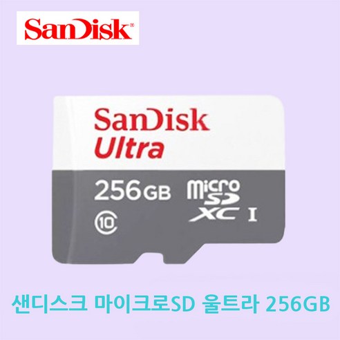 티피링크 Tapo C210 C200 C320WS C310 C225 C110 C110 C500 C510W C520WS VIGI 홈캠 CCTV 녹화용 메모리카드 Micro SD카드, 256GB, 1개