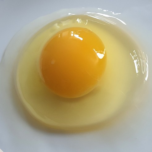 에그트리의 오늘낳은 달걀은 안전하고 신선한 선택입니다.