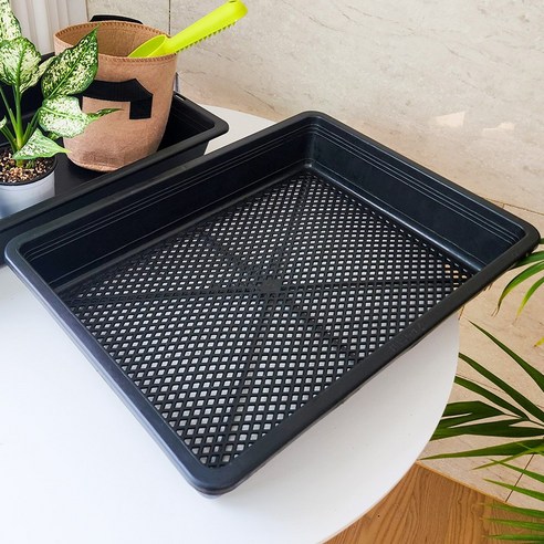 초화류 식물을 위한 필수 아이템