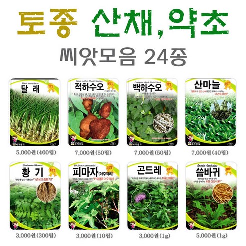 한국산 약초 씨앗 모음세트, 1개 공심채 한국산 약초 씨앗 모음세트, 1개 공심채