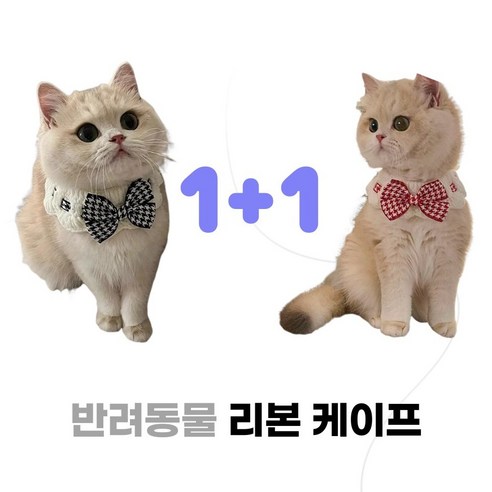 슈어마켓 1+1 반려동물 케이프, 1세트, 니트블랙+니트레드