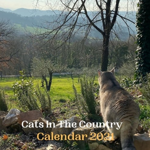 Cats In The Country Calendar 2021 Paperback, Independently Published, English, 9798698448464
