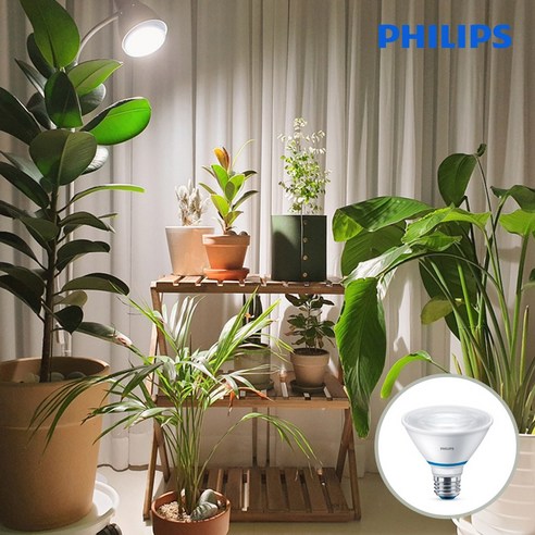 필립스 식물등 PAR30 스팟 LED 생장등 테라리움 다육이 식물램프
