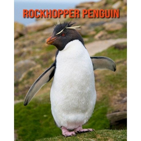 Rockhopper Penguin: Fun Facts & Cool Pictures Paperback, Independently Published, English, 9798563394308