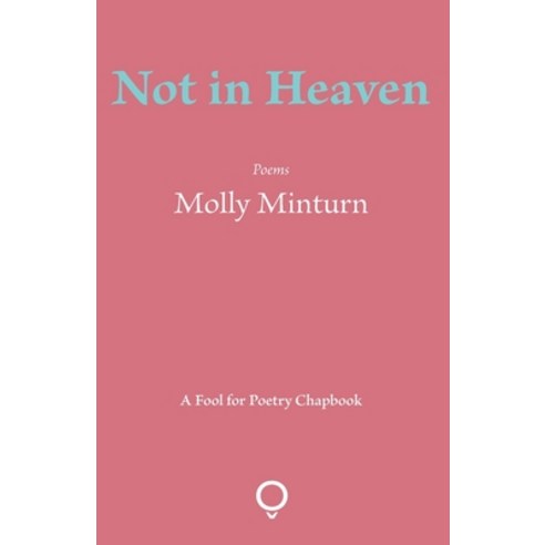 (영문도서) Not in Heaven Paperback, Southword Editions, English, 9781905002542