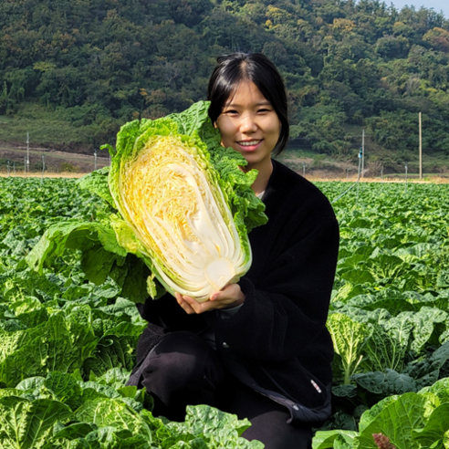 7brix HACCP 100%국내산 해남 라이코펜 절임배추, 배송메세지에 도착일(김장 전날) 지정 꼭 해주세요, 20kg