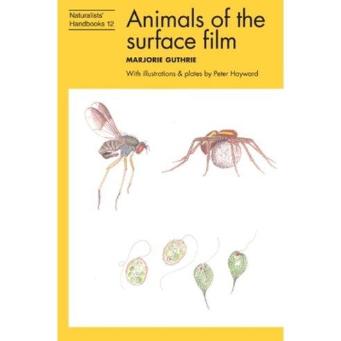 (영문도서) Animals of the surface film Hardcover, Pelagic Publishing Ltd, English, 9781784275150