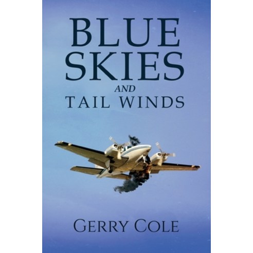 (영문도서) Blue Skies and Tail Winds Paperback, Stratton Press, English, 9781648955266