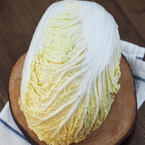 늘바른 국산 친환경 무농약 쌈배추600g 10봉