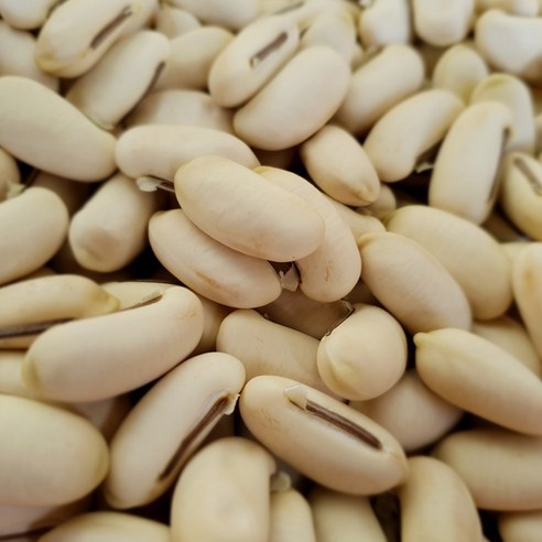 작두콩 씨앗 심고 농촌 부자 꿈을 이루세요!