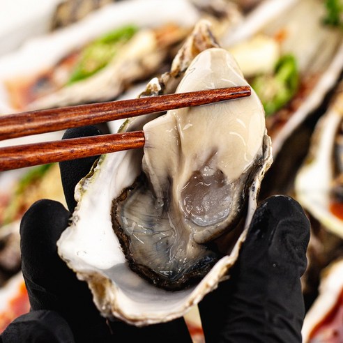신선한 바다의 맛, 삼삼해물 산지직송 하프셀