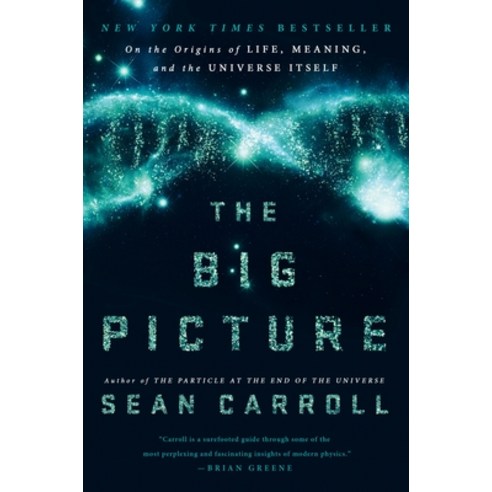 (영문도서) The Big Picture: On the Origins of Life Meaning and the Universe Itself Hardcover, Dutton, English, 9780525954828