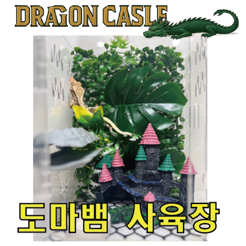 테라돔 드래곤캐슬 도마뱀 아크릴 사육장 세트 – 최적의 환경을 제공하는 선택 아크릴사육장