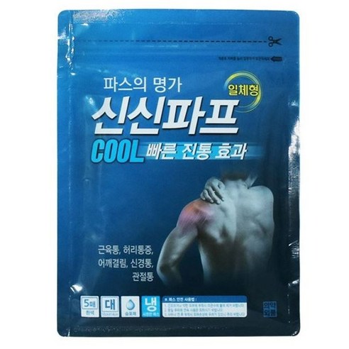 신신제약 신신파스 신신파프 쿨 파스, 5개입, 2개