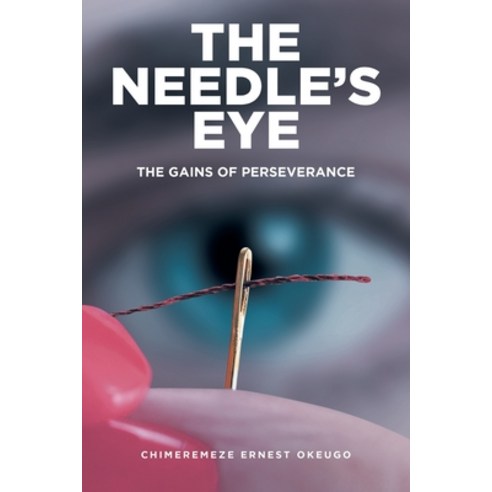 (영문도서) The Needle''s Eye: The Gains of Perseverance Paperback, Fulton Books, English, 9798889829010