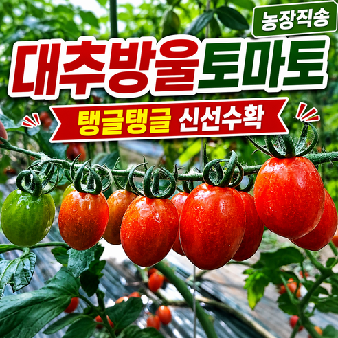 방울토마토 스테비아,대추방울 한입과, 1박스, 대추방울 토마토 미니 2kg