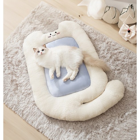 편리한 통세탁 방석, 반려동물의 건강과 안락을 지켜주는 선택