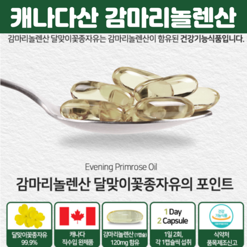감마 리놀렌산 달맞이꽃종자유 캐나다 혈행개선 도움 감 마리 노렌 산 달맞이 종자유 달 마지 꽃 추출물 월경 달마지꽃유 60 캡슐, 2개, 60캡슐