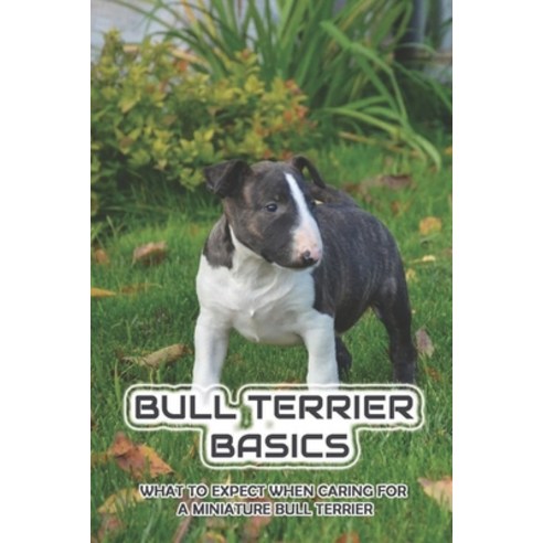 (영문도서) Bull Terrier Basics: What To Expect When Caring For A Miniature Bull Terrier: How To Train A ... Paperback, Independently Published, English, 9798452024453