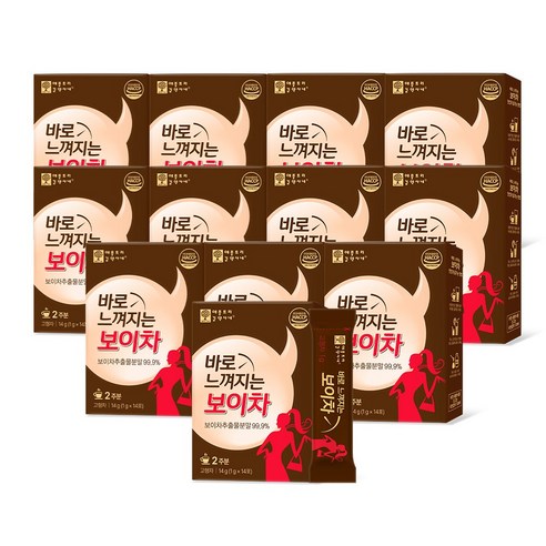 [12박스세트] 바로 느껴지는 발효 보이차 운남성 분말스틱, 1g, 14개입, 12개