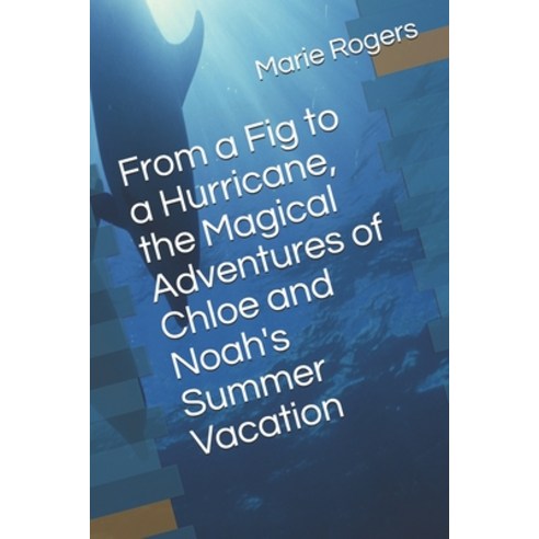 From a Fig to a Hurricane the Magical Adventures of Chloe and Noah''s Summer Vacation Paperback, Independently Published