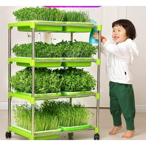 수경재배키트 허브 스마트팜 새싹 식물재배기 수경재배기, 1세트씨앗1팩발송종이[특가], 1개